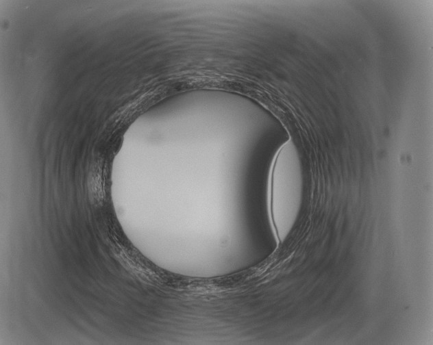 X0000084571250200702230901