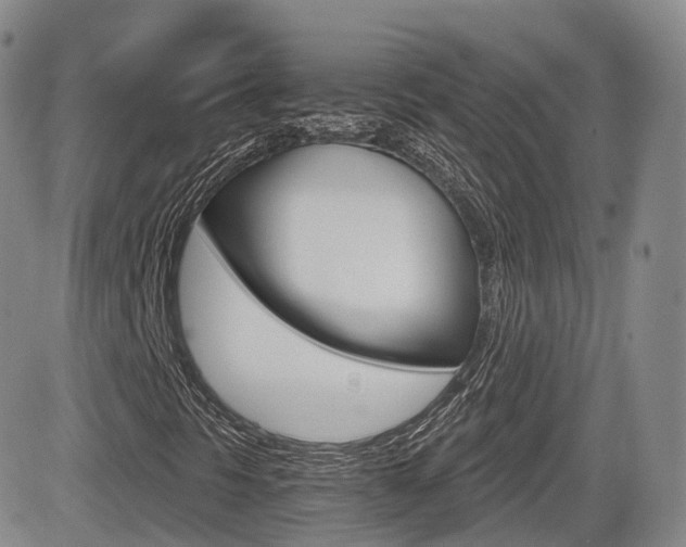 X0000084571297200702230859