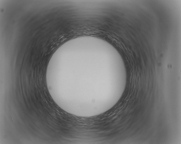 X0000084571298200702230859