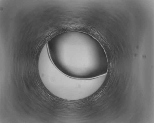 X0000084571300200702230859
