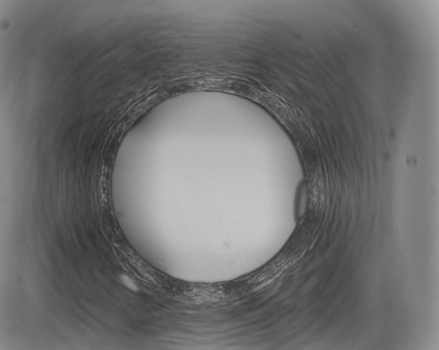 X0000084571346200702230859