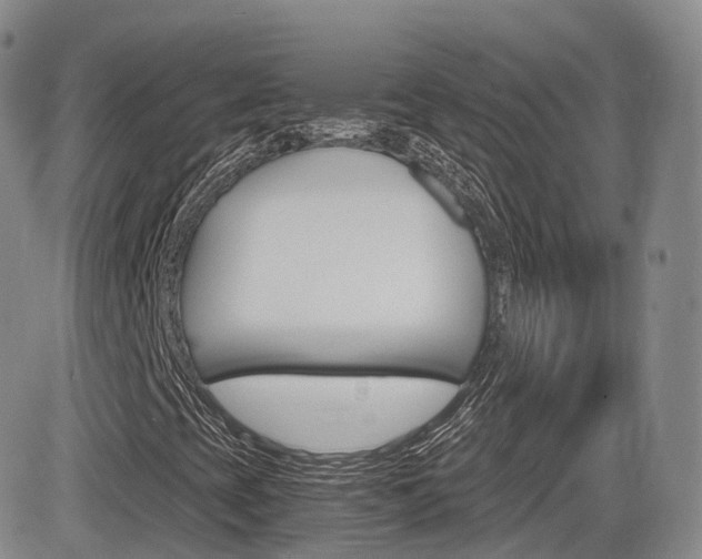 X0000084571393200702230857