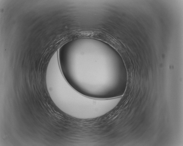 X0000084571394200702230857