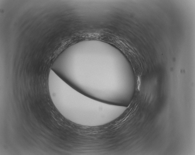 X0000084571395200702230857
