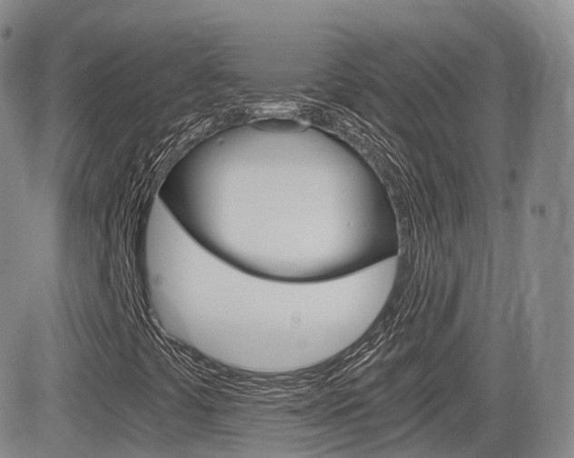 X0000084571441200702230857