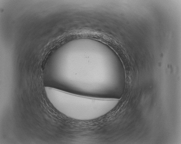 X0000084571493200702230856