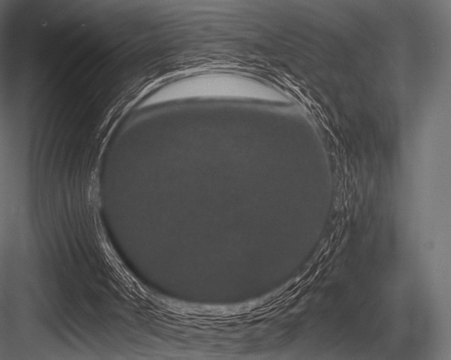 X0000084570002200702231311