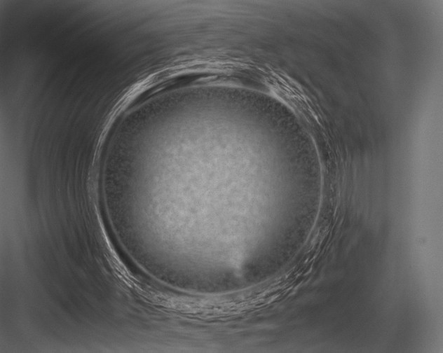 X0000084570003200702231311