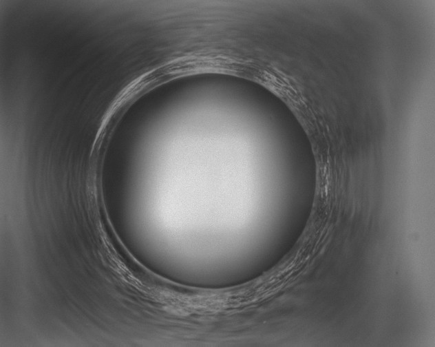 X0000084570004200702231311