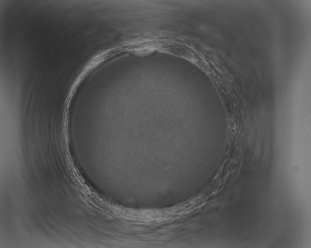 X0000084570006200702231311