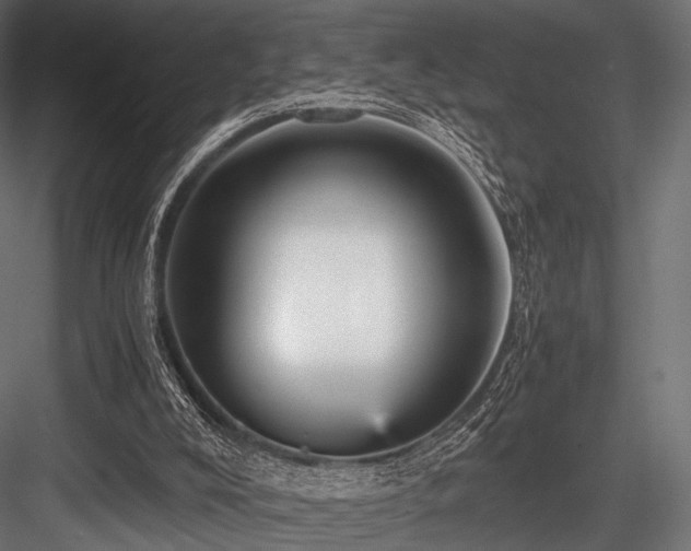 X0000084570008200702231311
