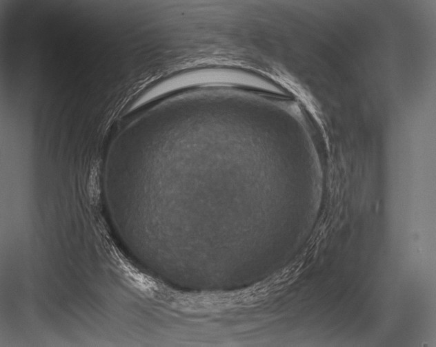 X0000084570009200702231311