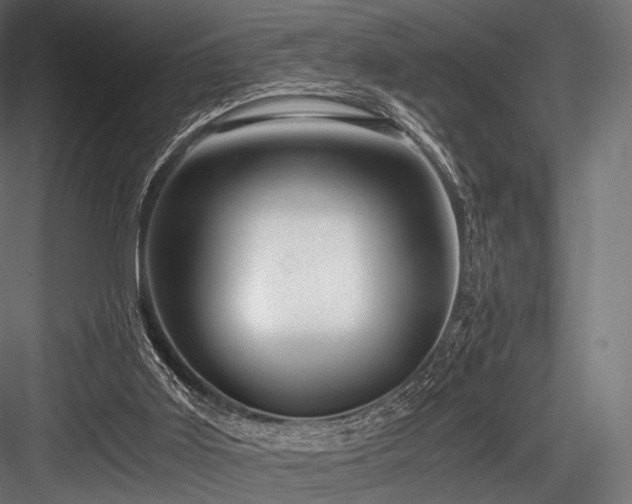 X0000084570011200702231311