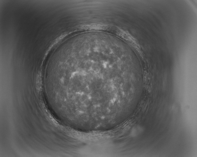 X0000084570012200702231311