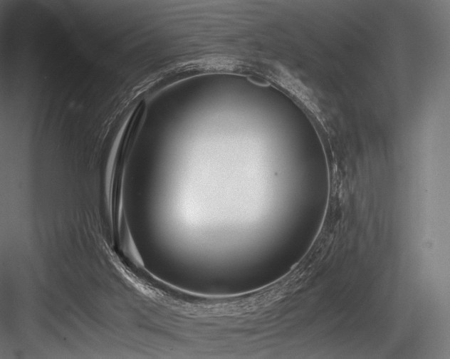 X0000084570013200702231311