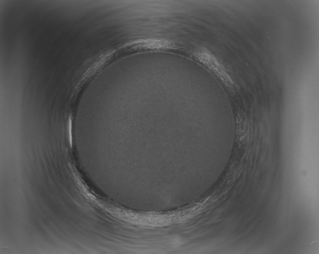 X0000084570014200702231311