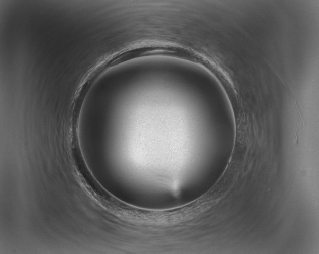 X0000084570015200702231311