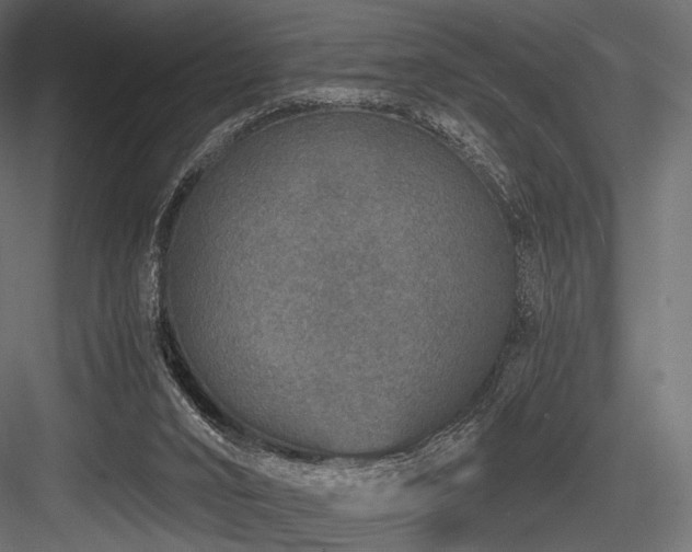 X0000084570016200702231311