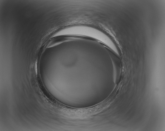 X0000084570019200702231311