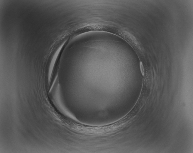 X0000084570023200702231311