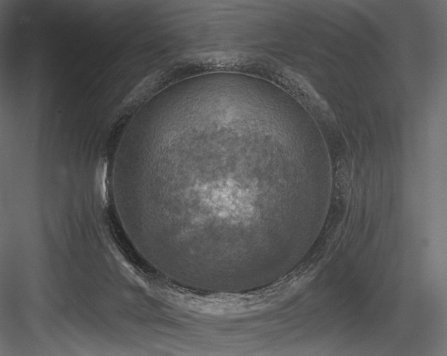 X0000084570024200702231311