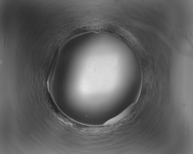 X0000084570025200702231311