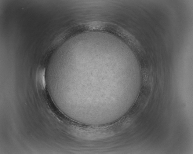 X0000084570028200702231311