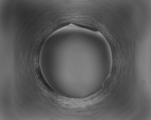 X0000084570031200702231311