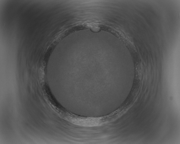 X0000084570032200702231311
