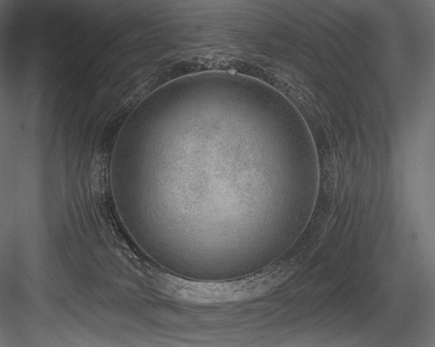 X0000084570034200702231311
