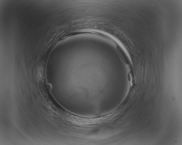 X0000084570035200702231311