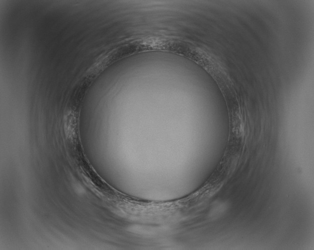 X0000084570036200702231311
