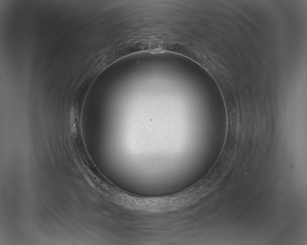 X0000084570038200702231311