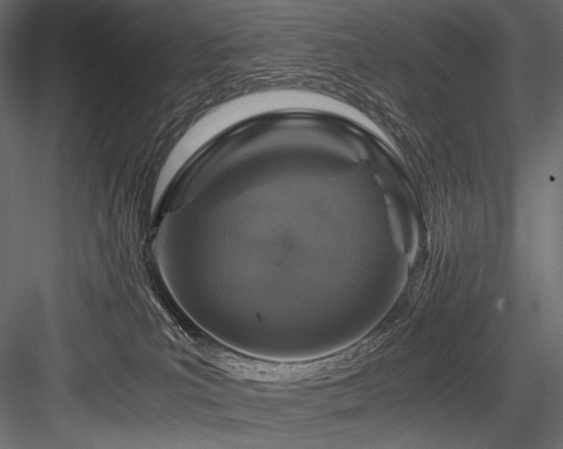 X0000084570039200702231311
