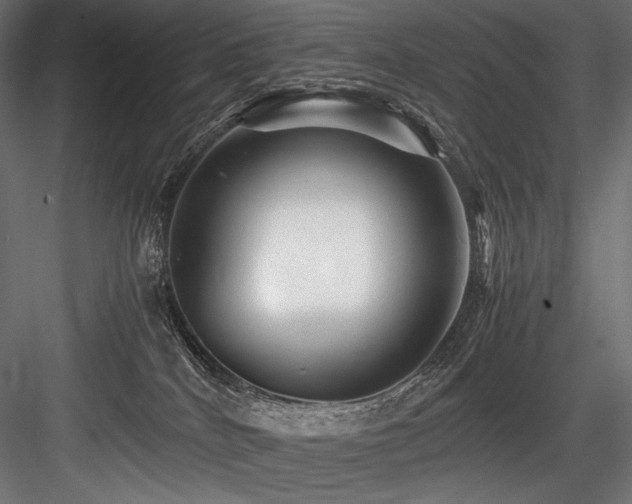 X0000084570040200702231311