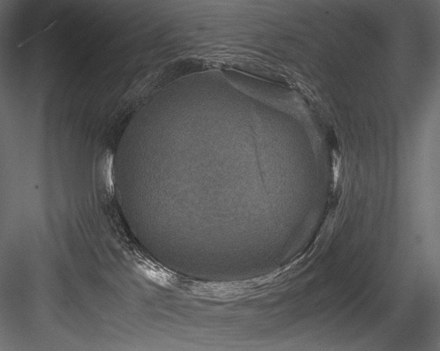 X0000084570041200702231311