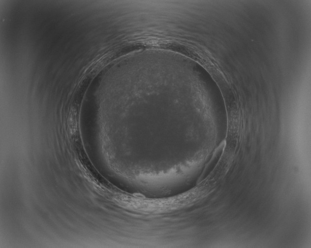 X0000084570043200702231311