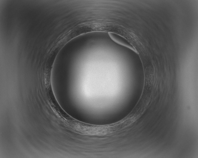 X0000084570044200702231311