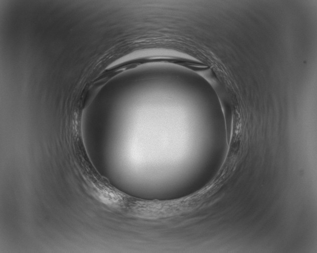 X0000084570045200702231311