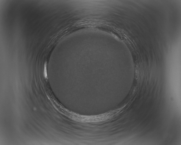 X0000084570046200702231311
