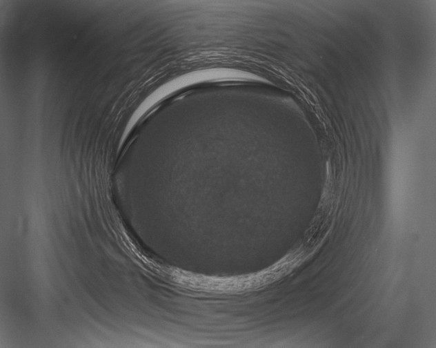 X0000084570048200702231311