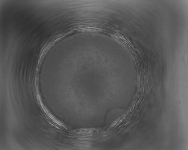 X0000084570049200702231310