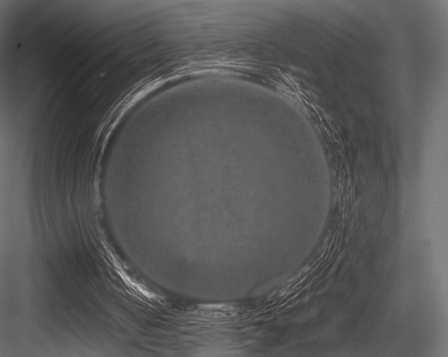 X0000084570050200702231310