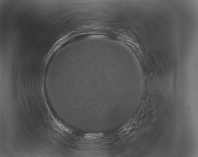 X0000084570051200702231310