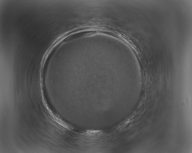 X0000084570055200702231310