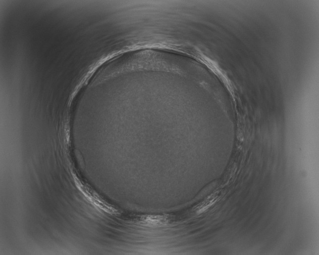 X0000084570060200702231310