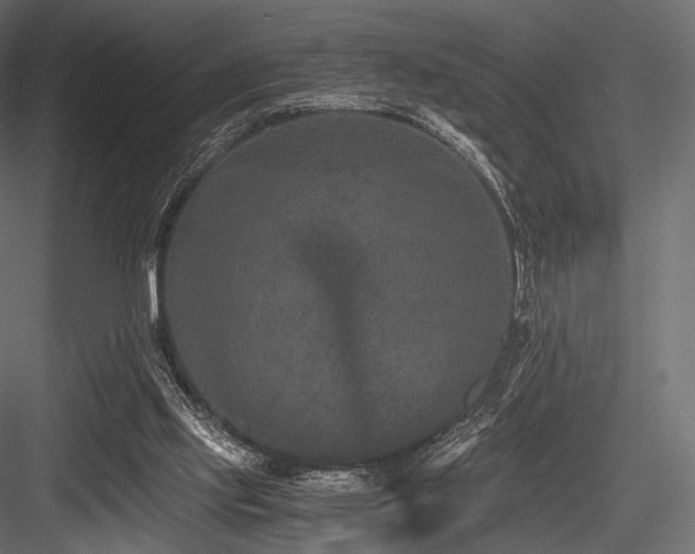 X0000084570061200702231310