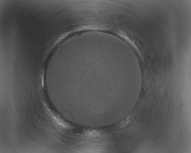 X0000084570062200702231310