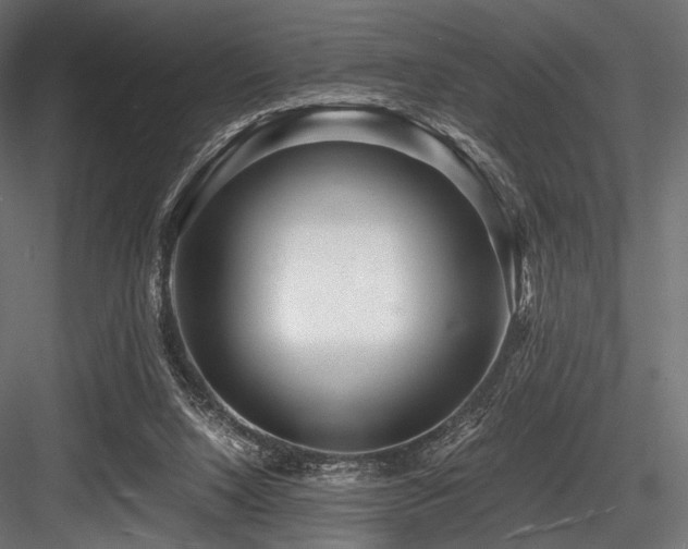 X0000084570064200702231310