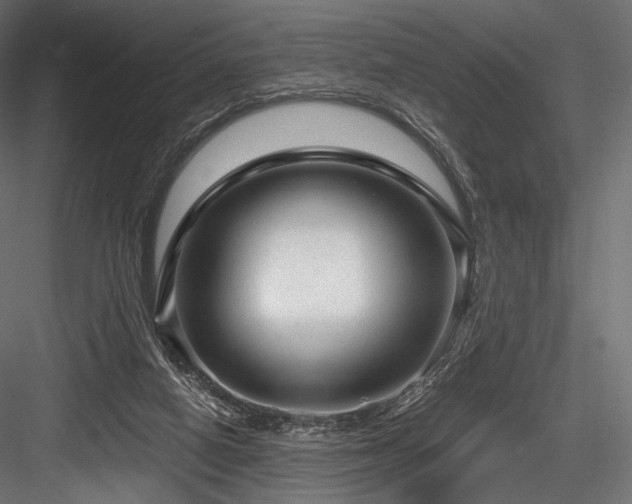 X0000084570066200702231310